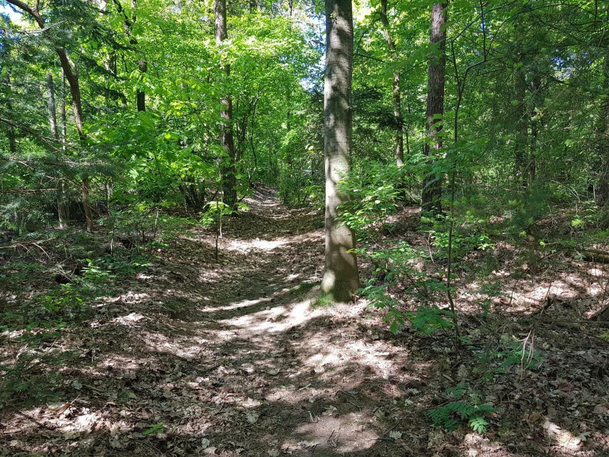 Knusse Bungalow Otterlo Veluwe Bagian luar foto