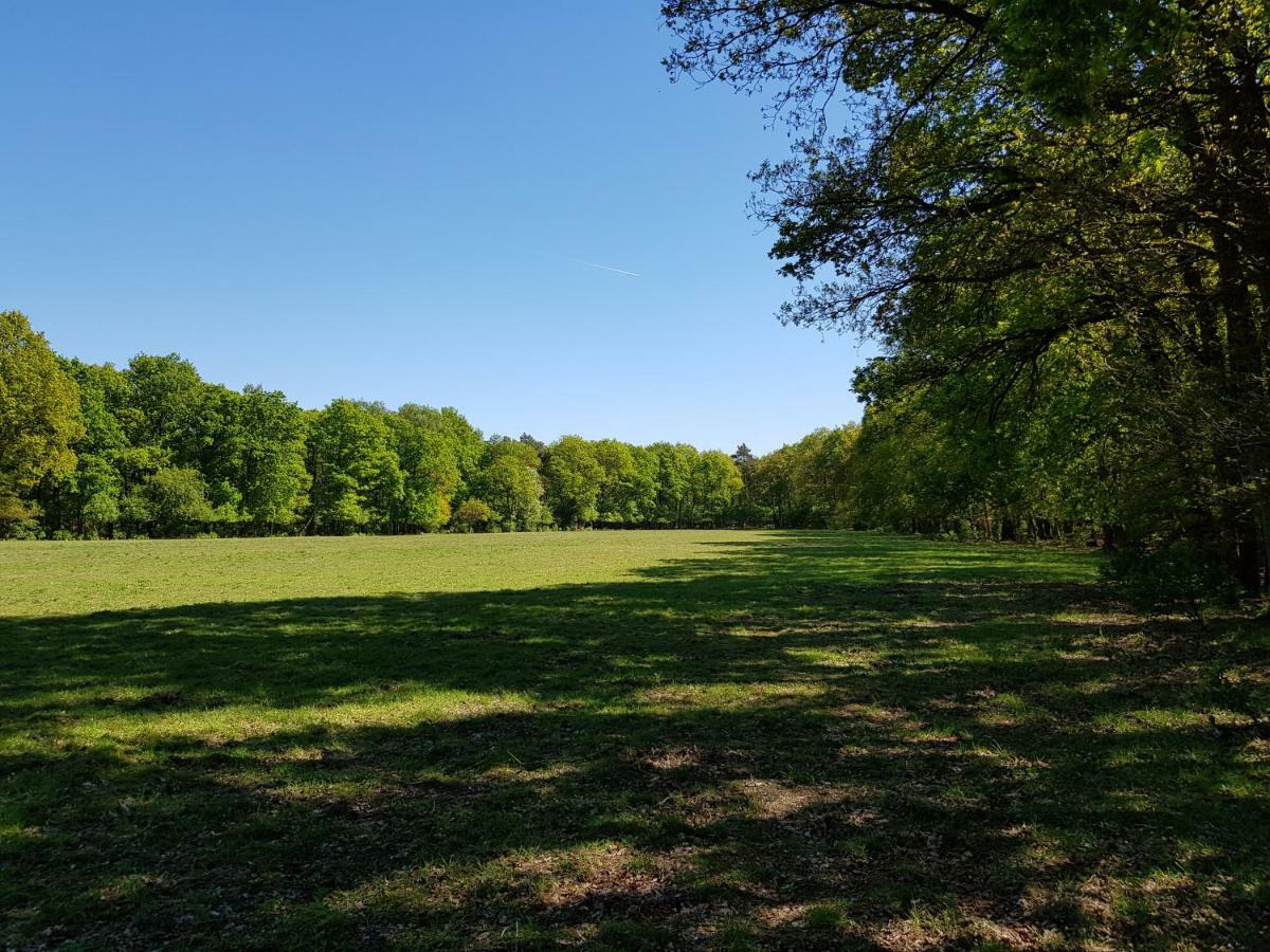 Knusse Bungalow Otterlo Veluwe Bagian luar foto