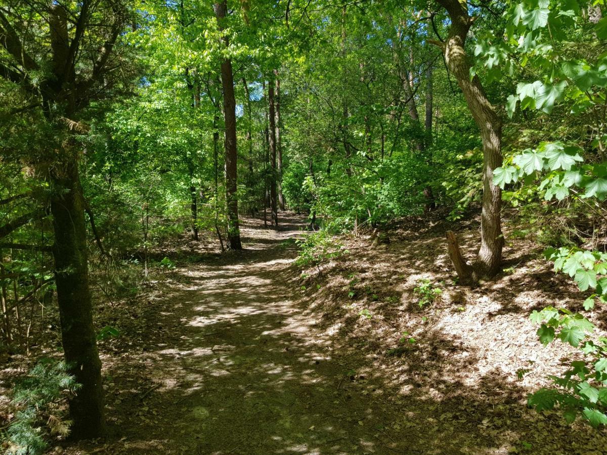 Knusse Bungalow Otterlo Veluwe Bagian luar foto