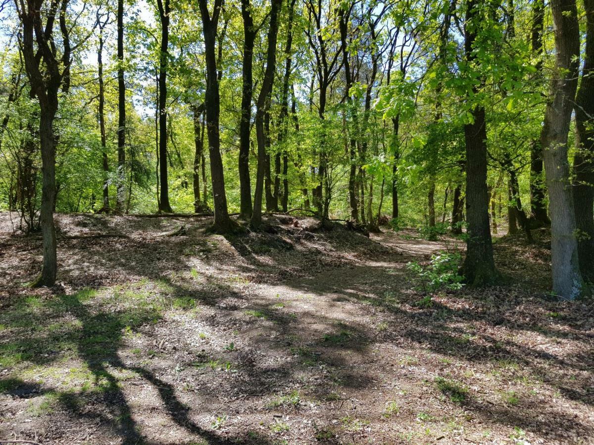 Knusse Bungalow Otterlo Veluwe Bagian luar foto